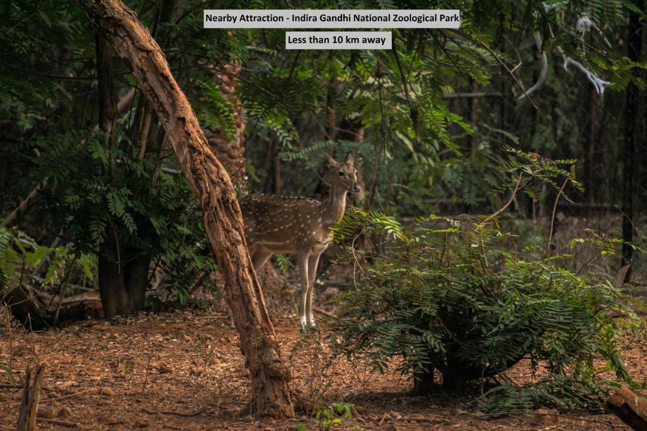 Oyo 8929 Stay Siddhartha Residency Jalaripeta Экстерьер фото